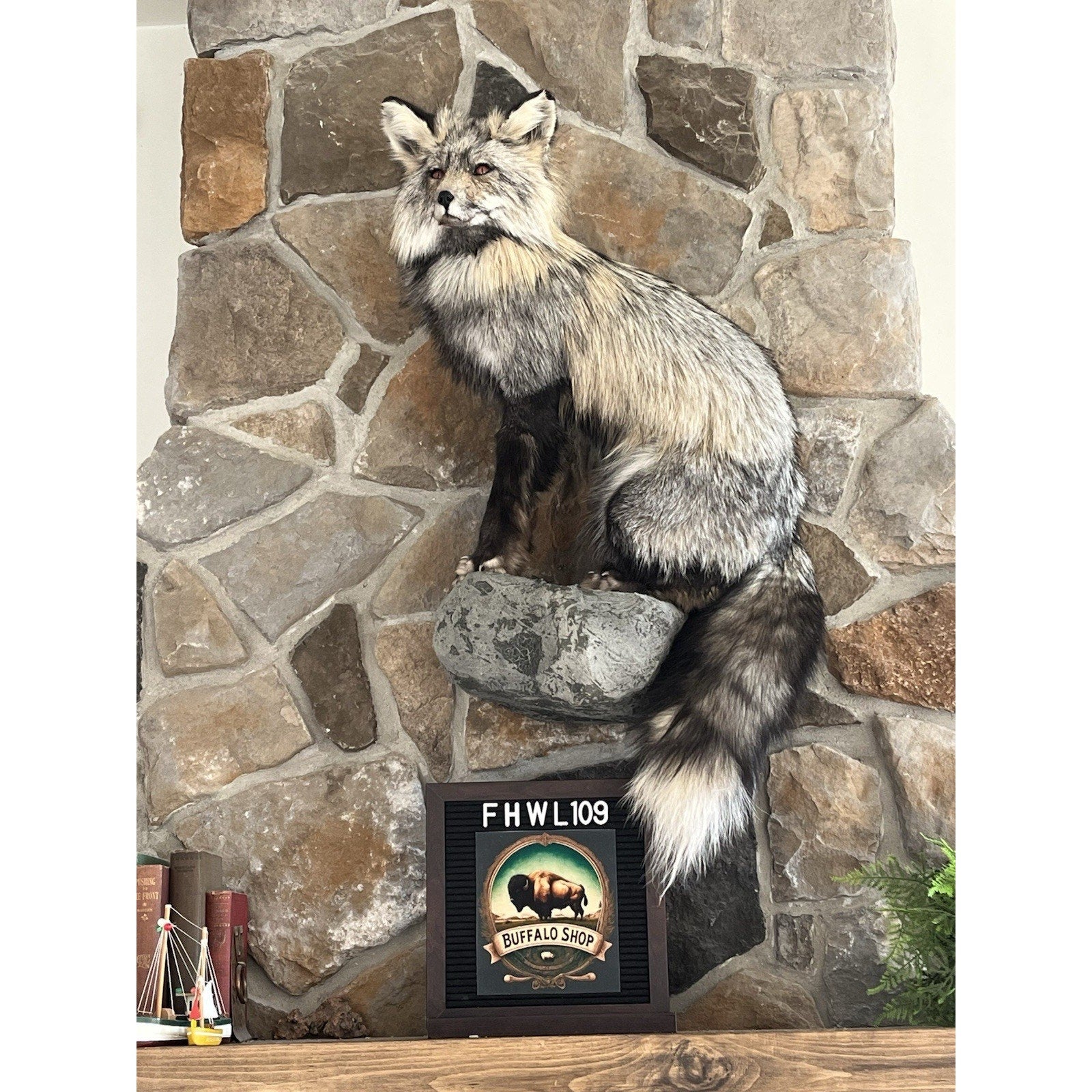 FHWL109 - Premium Fox Taxidermy Full Body Mount