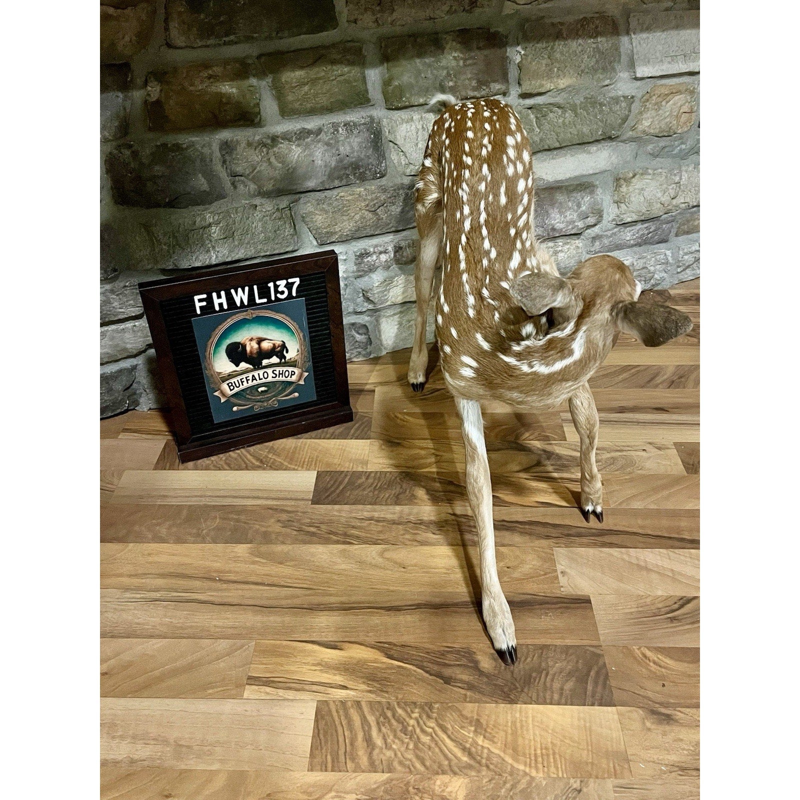 FHWL137 - Fawn Lifesize Taxidermy Mount Free Standing