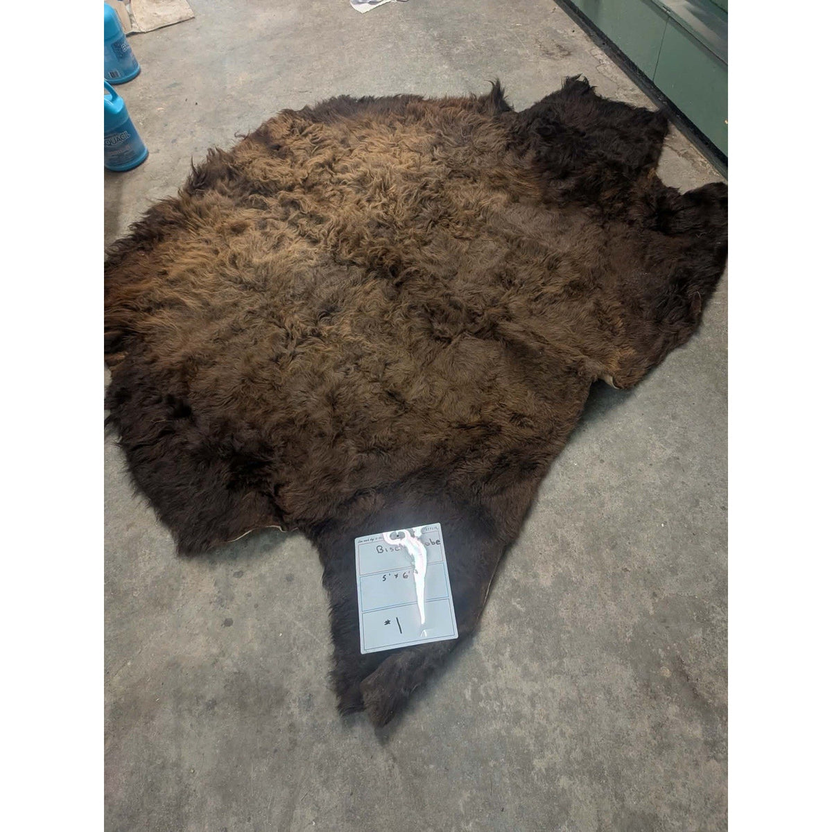 FHPATBF1 - Real Buffalo / Bison Tanned Taxidermy Rug Hide Brand New