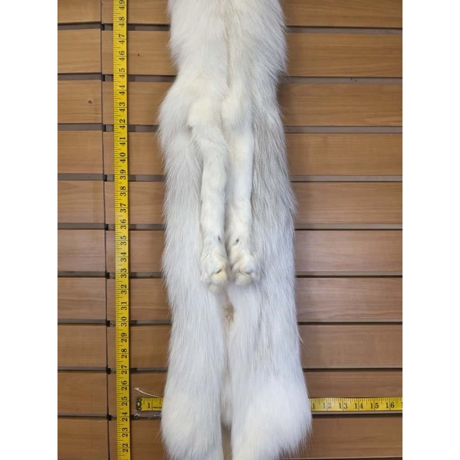 FHCM12 - Ranch Fox Soft Tanned Furs Taxidermy