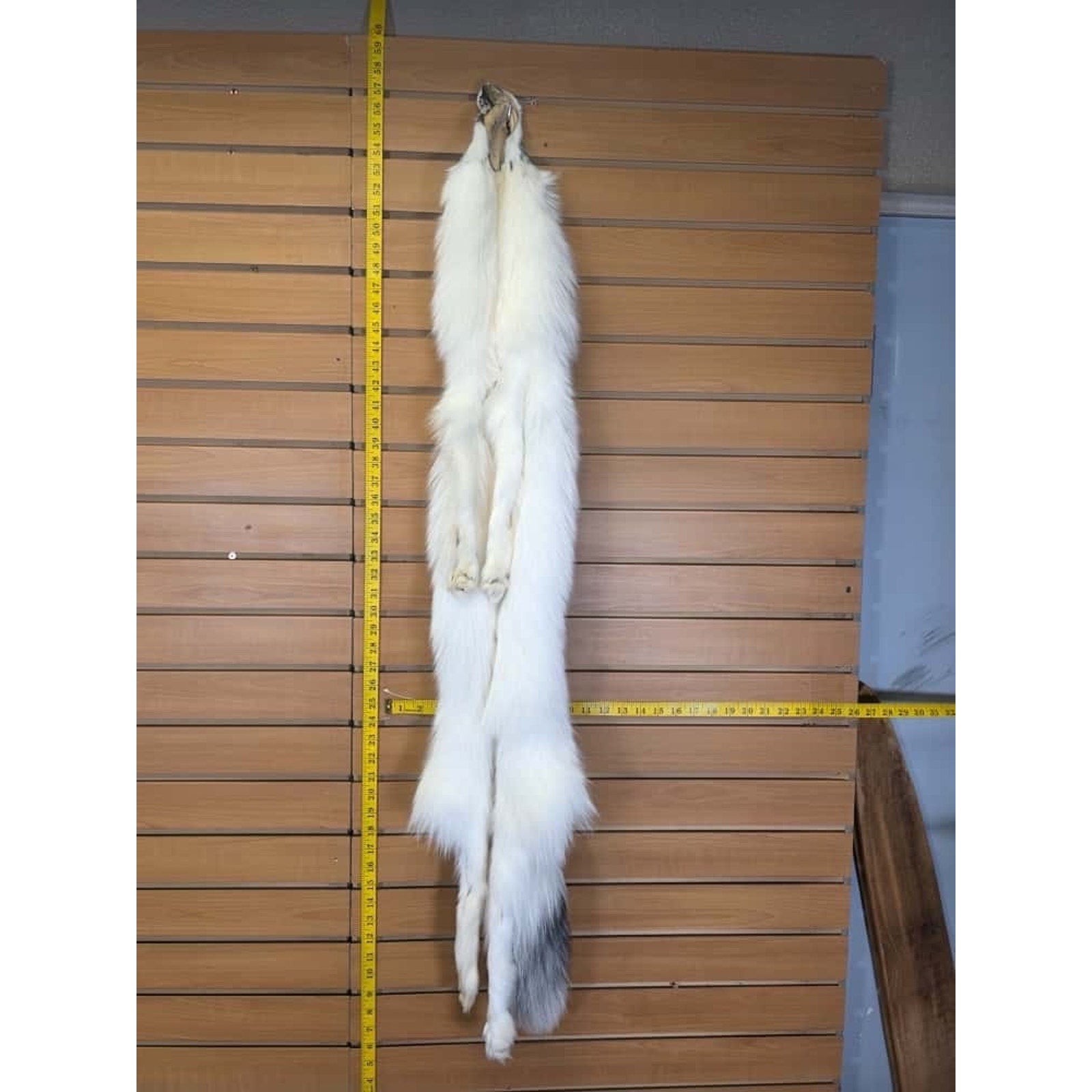 FHCM9 - Gorgeous Ranch Fox Soft Tanned Furs Taxidermy