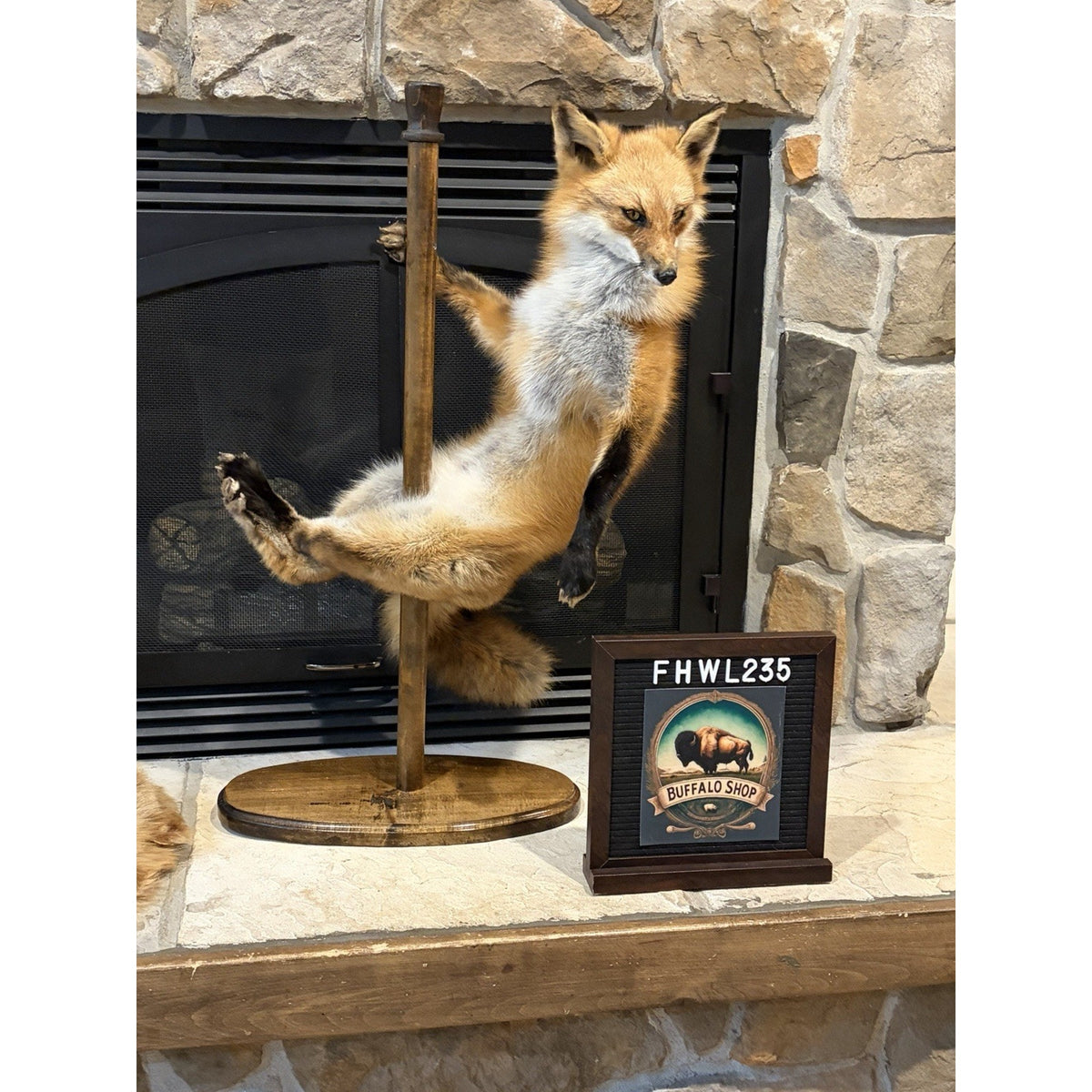 FHWL235 - Red Fox Taxidermy Stripper Dancing Full Body Mount