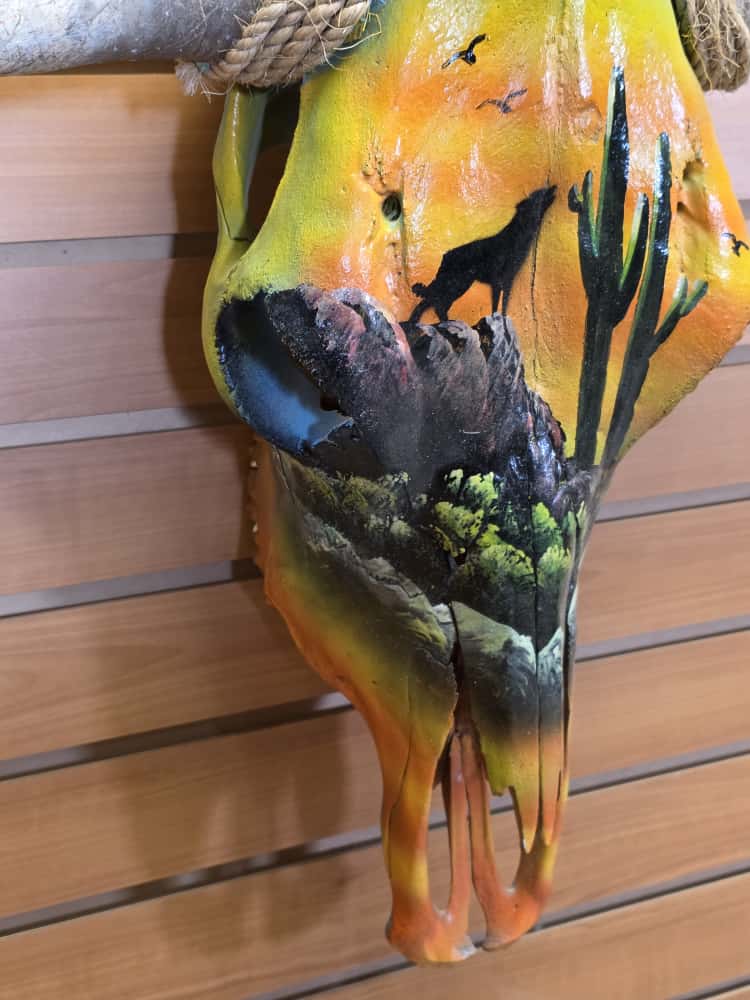 JTV265 - painted steer real horns taxidermy skull