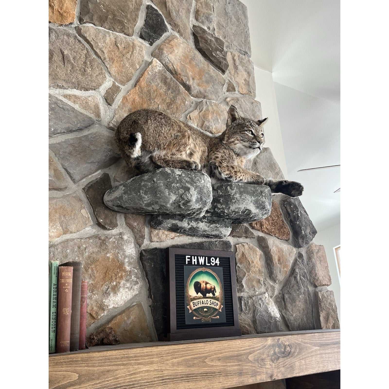 FHWL94 - Bobcat Taxidermy Full Body Mount