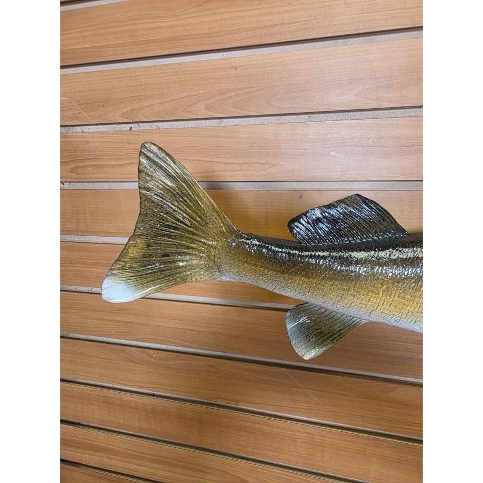 JTV226 - Real Skin Walleye Fish Taxidermy Mount 25”