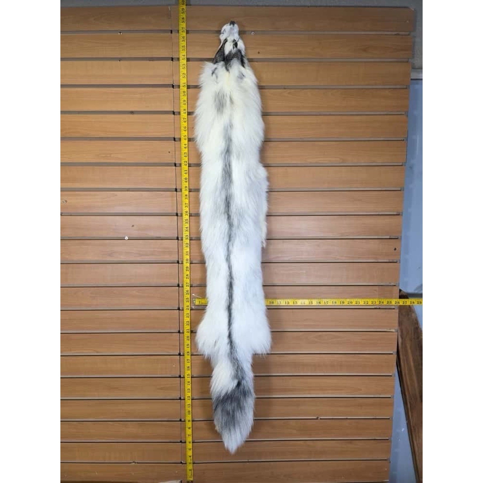 FHCM9 - Gorgeous Ranch Fox Soft Tanned Furs Taxidermy