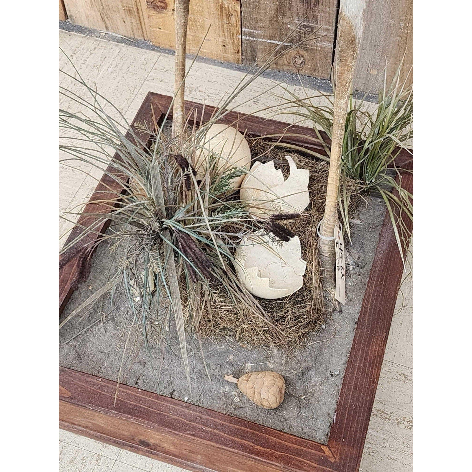 FHHFK1 - Rhea Full Body Bird Taxidermy Taxidermy Mount