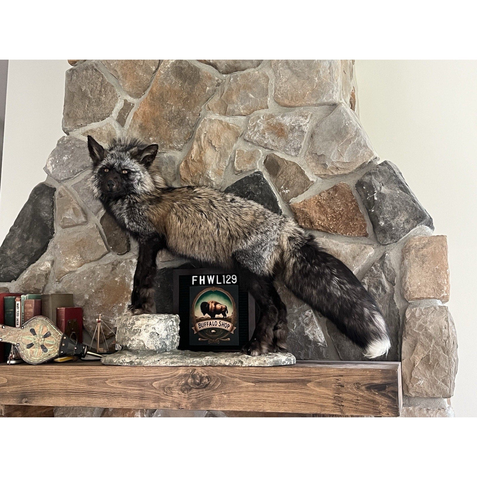 FHWL129 - Premium Silver Fox Taxidermy Full Body Mount
