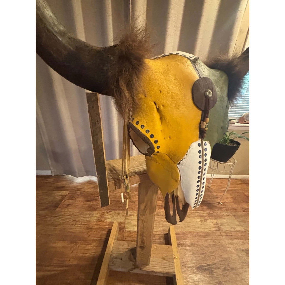 FHMMB1 - XXL Painted Buffalo / Bison Skull Taxidermy Mount