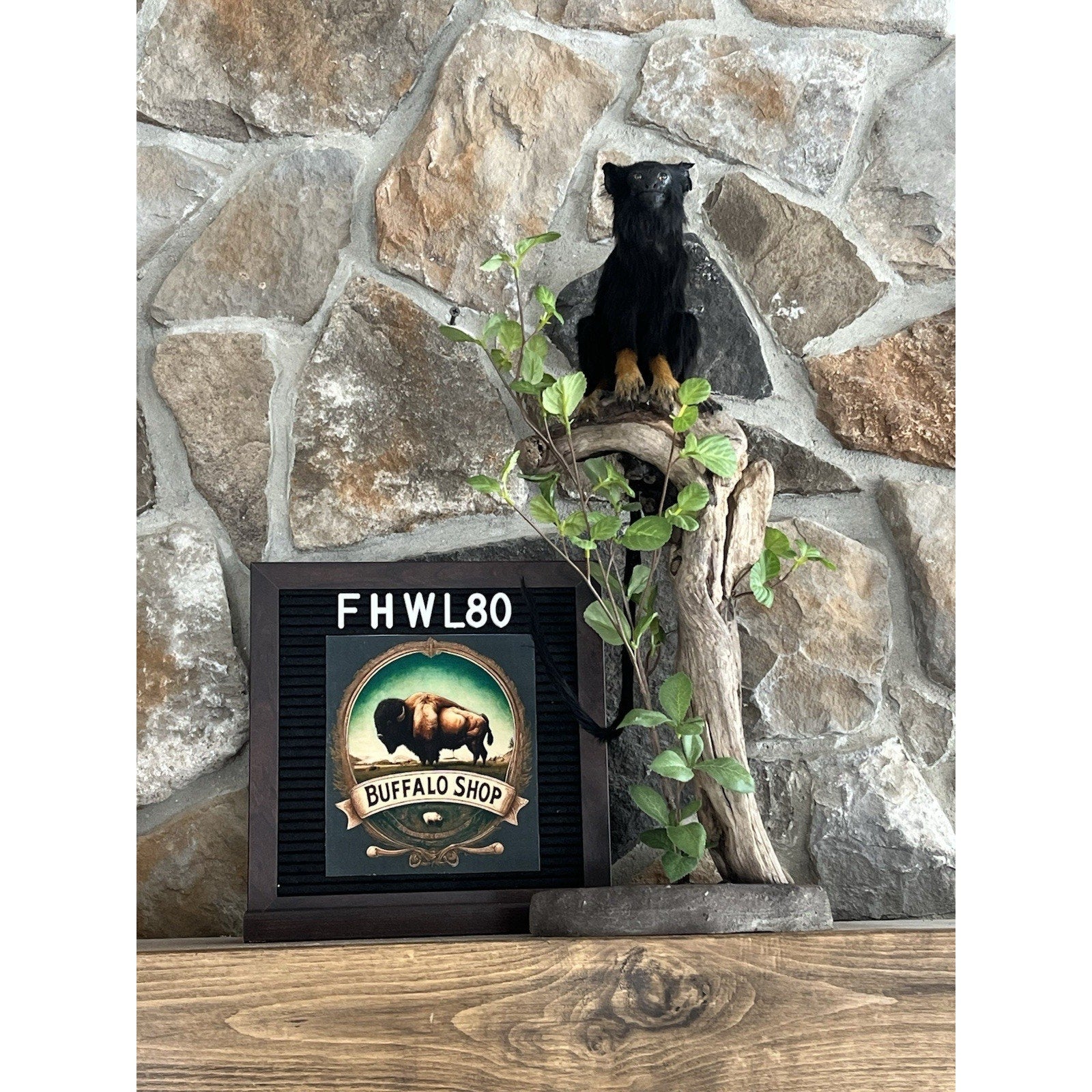 FHWL80 - red-handed tamarin Monkey (Saguinus midas) Taxidermy Mount