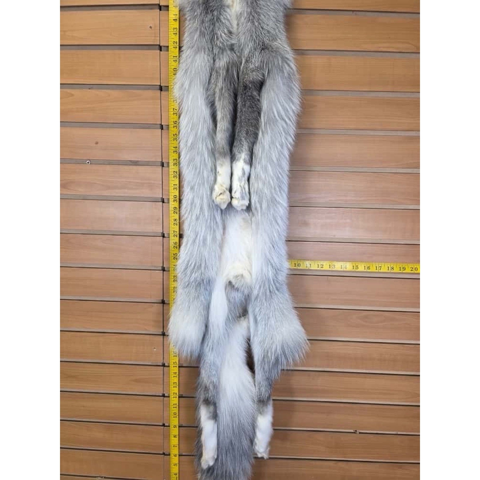 FHCM8 - Gorgeous Ranch Fox Soft Tanned Furs Taxidermy