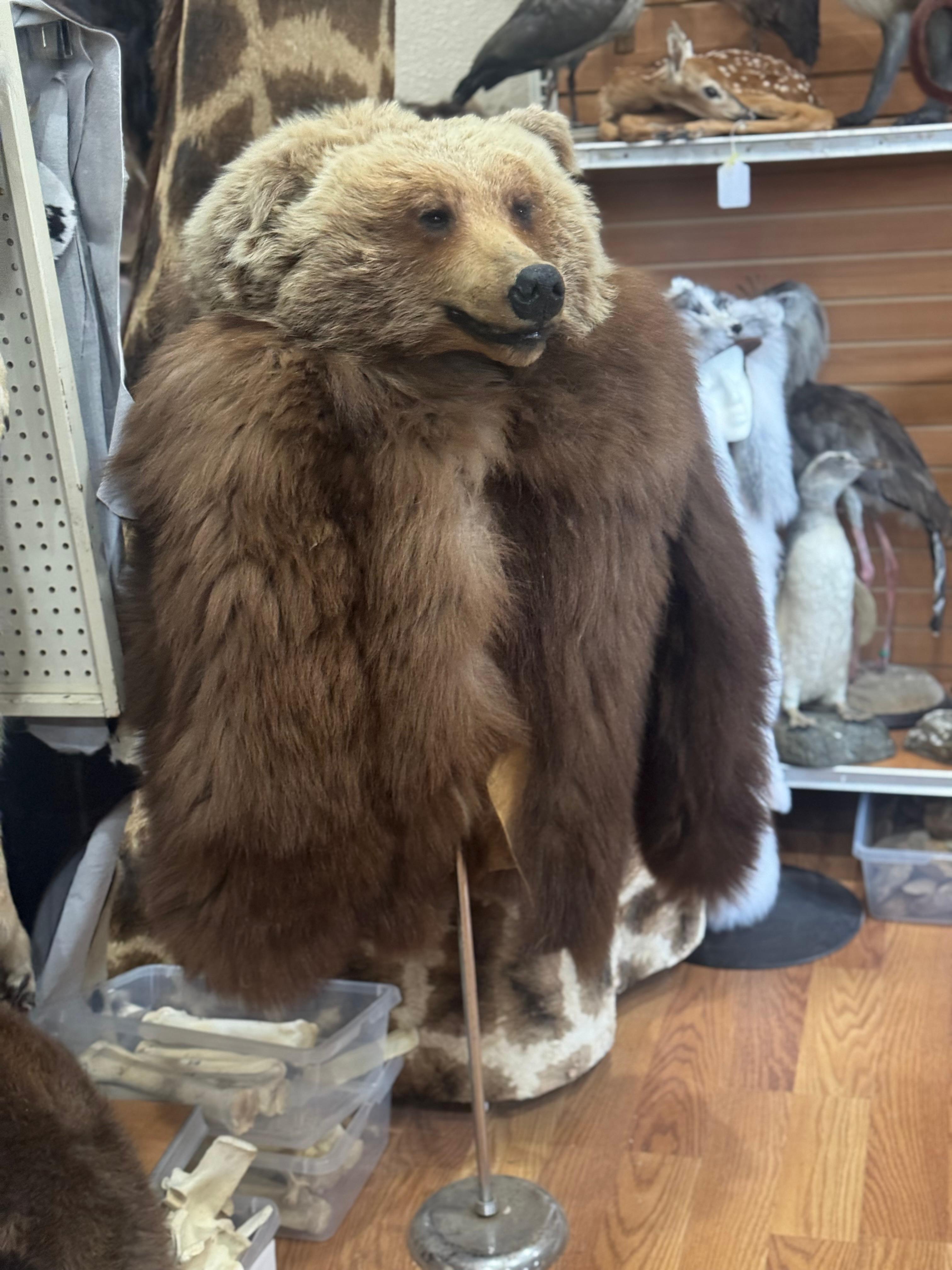 FHSUZ26 - Grizzly Bear Real Fur Coat With Grizzly Bear Head