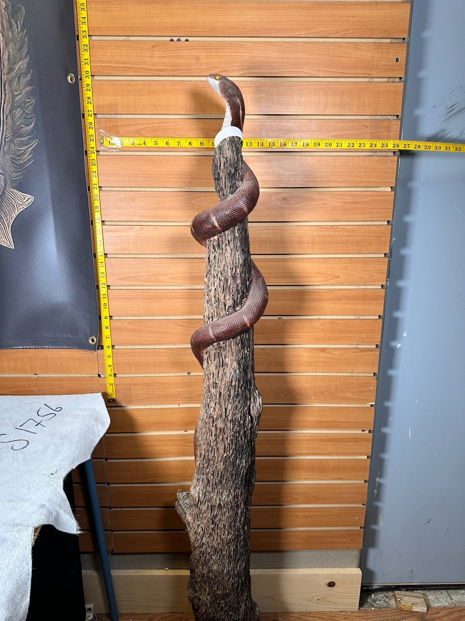 JTV479-Replica cobra snake taxidermy mount