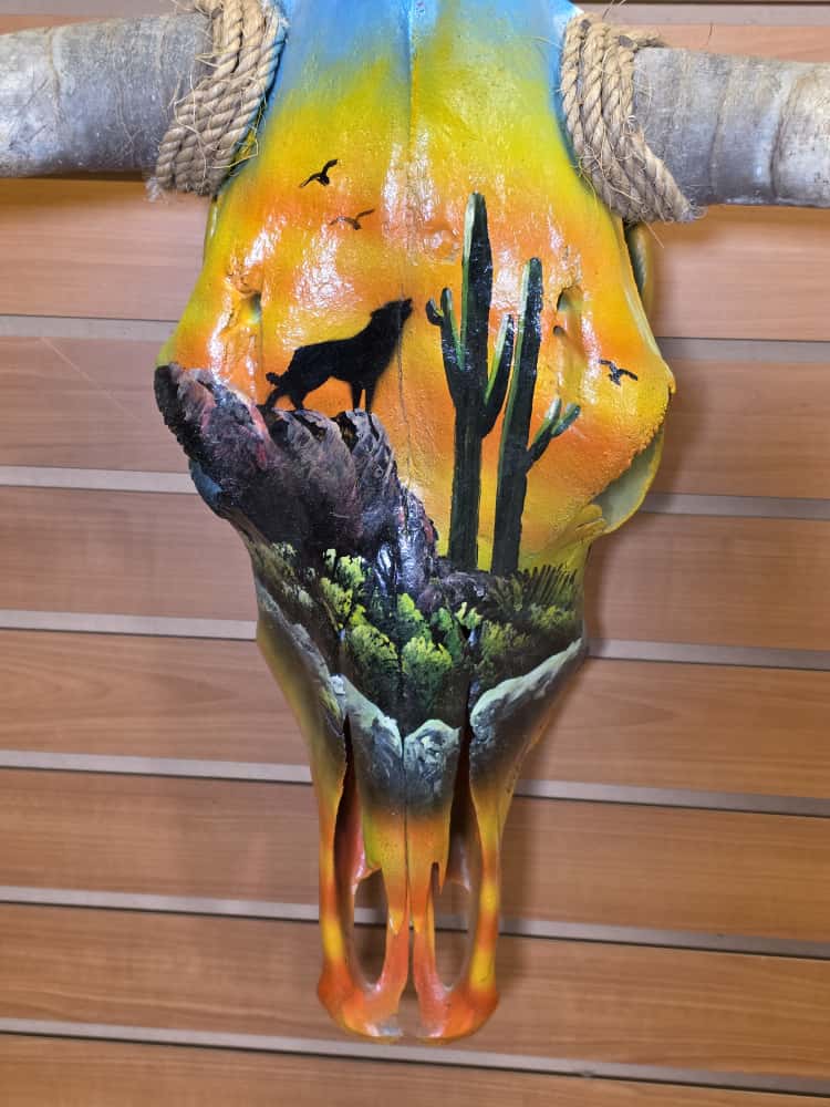 JTV265 - painted steer real horns taxidermy skull