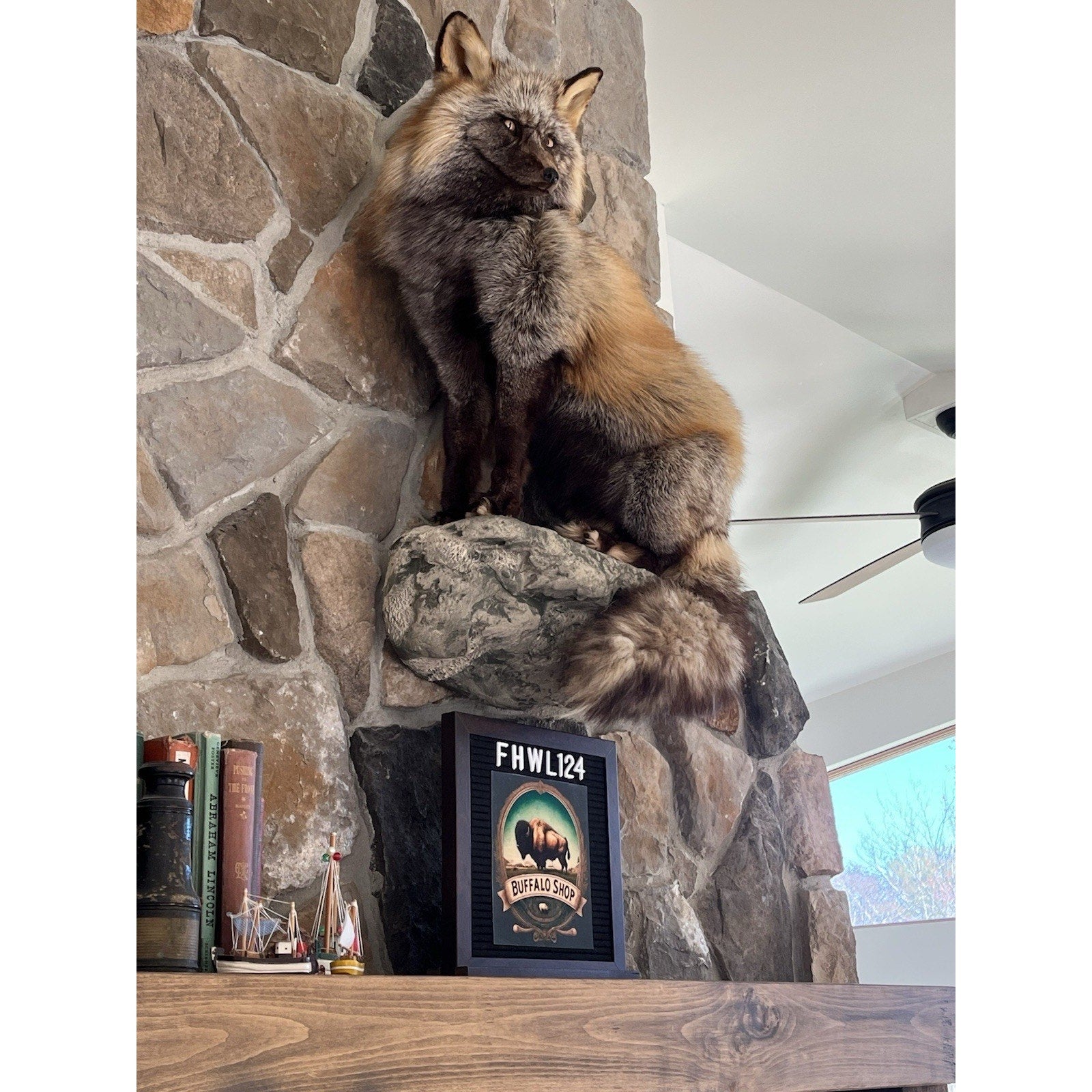 FHWL124 - Ranch Fox Taxidermy Full Body Mount