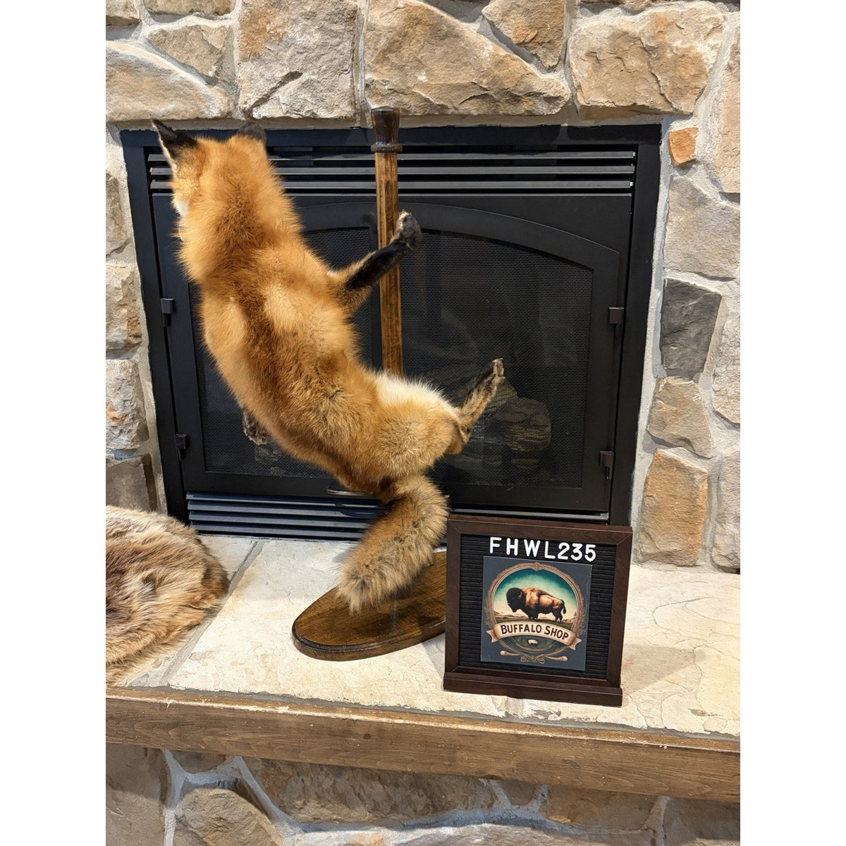 FHWL235 - Red Fox Taxidermy Stripper Dancing Full Body Mount