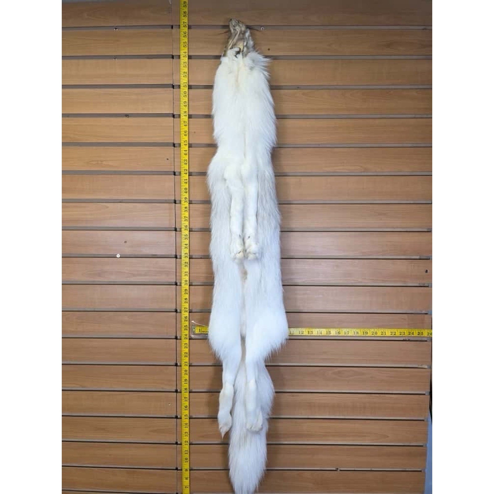 FHCM12 - Ranch Fox Soft Tanned Furs Taxidermy