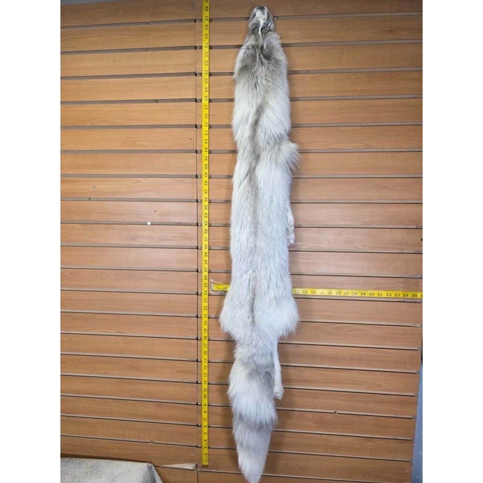 FHCM13 - Ranch Fox Soft Tanned Furs Taxidermy