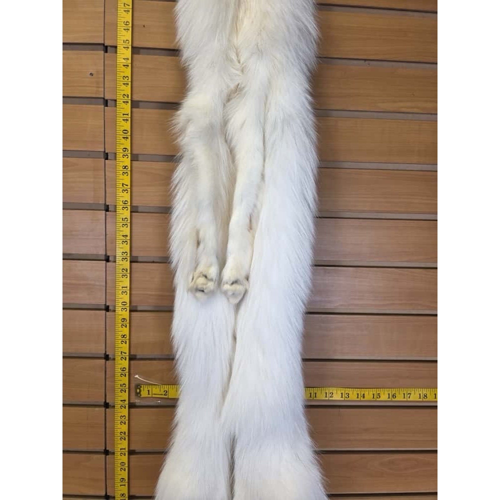 FHCM9 - Gorgeous Ranch Fox Soft Tanned Furs Taxidermy