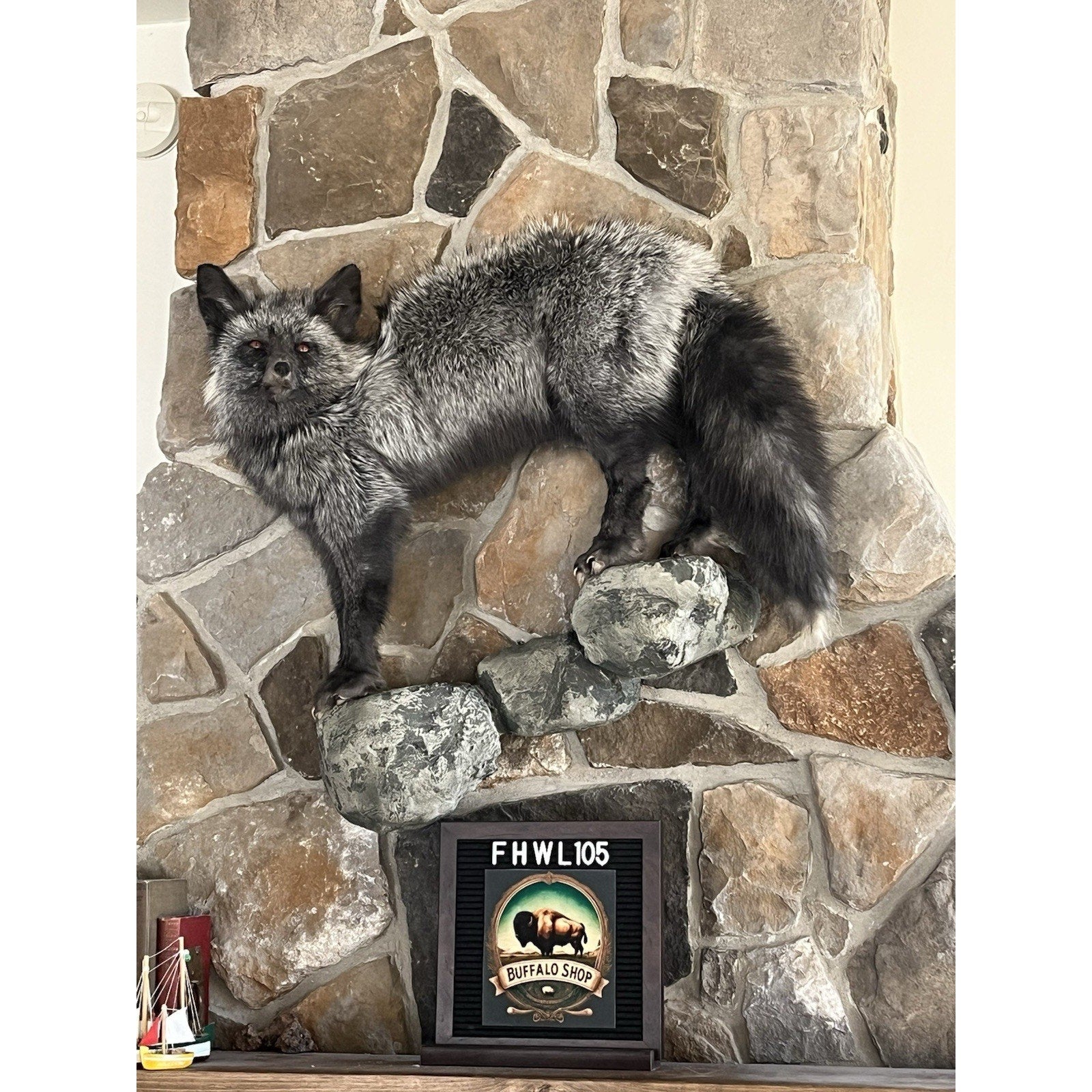 FHWL105 - Premium Silver Fox Taxidermy Full Body Mount
