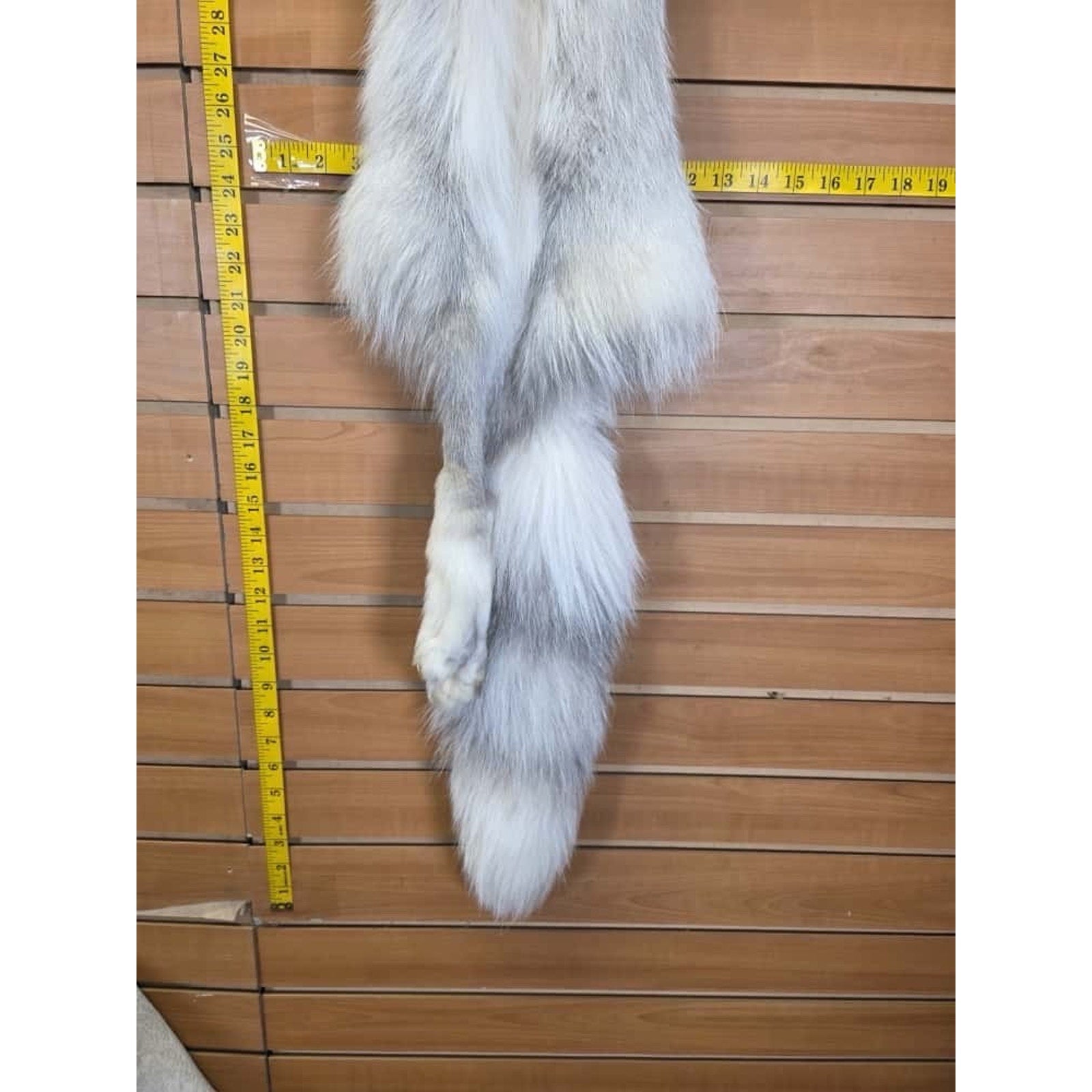 FHCM13 - Ranch Fox Soft Tanned Furs Taxidermy