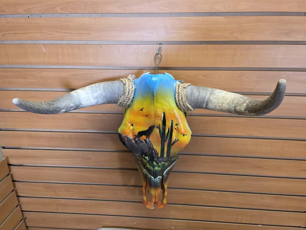 JTV265 - painted steer real horns taxidermy skull