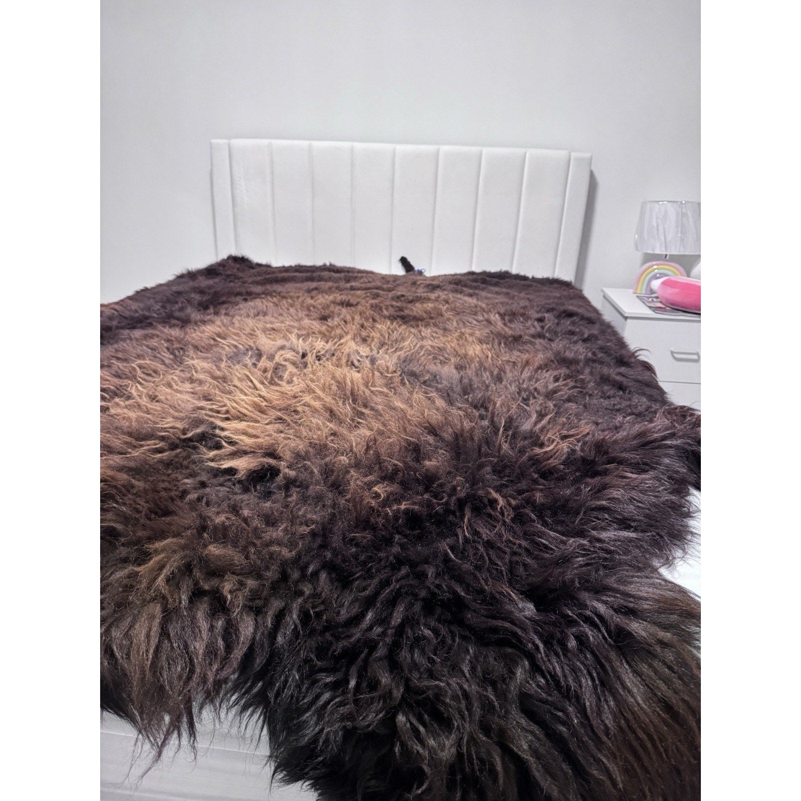 FHGUL1 - Premium Massive XXL bison Hide Rug Taxidermy Fur