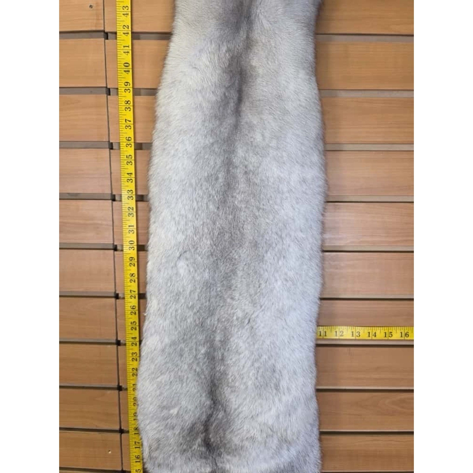 FHCM10 - Soft Tanned Blue Ranch Fox Furs Taxidermy