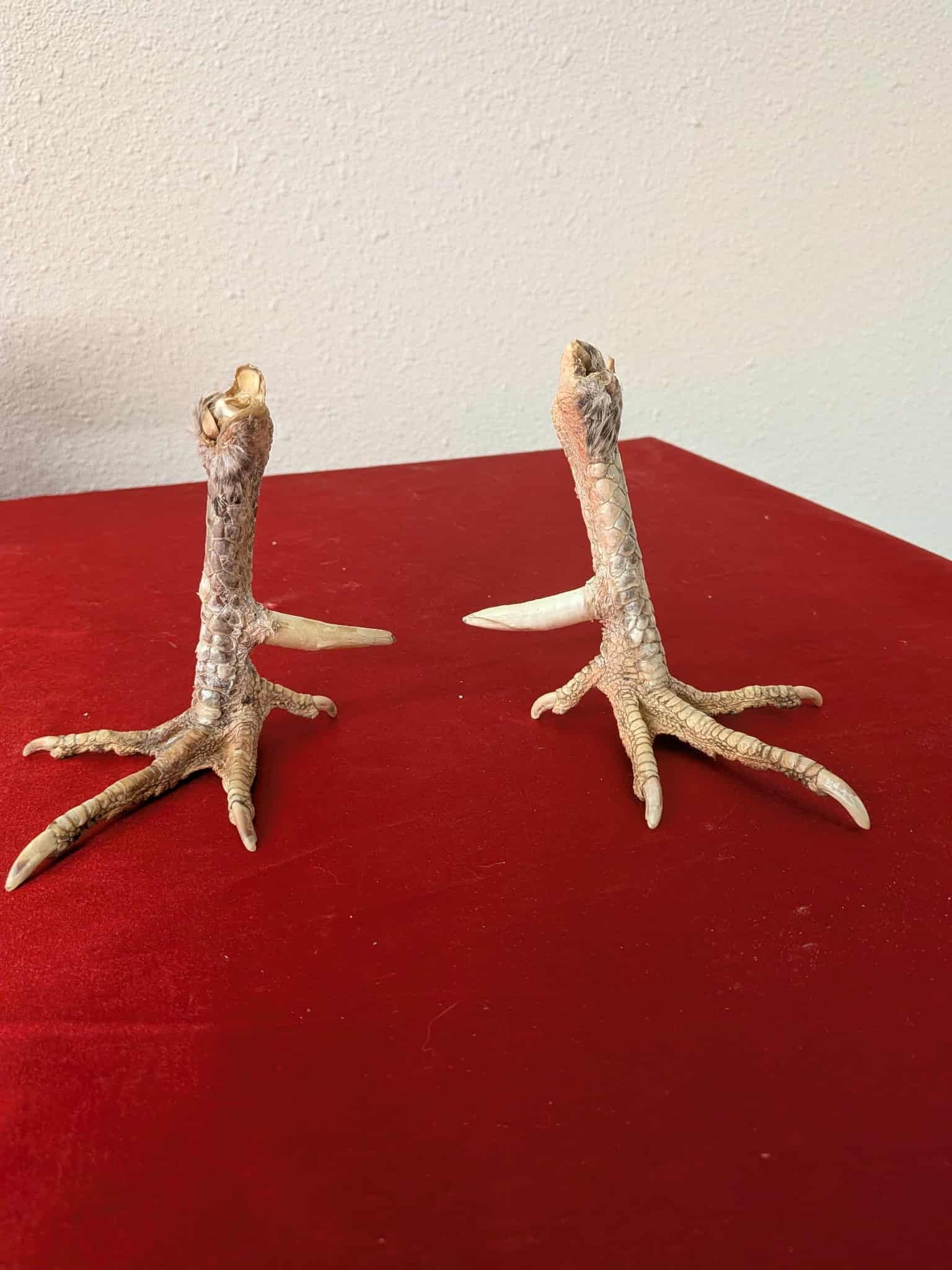 FHSUZ16 - Set Rooster Feet with spurs