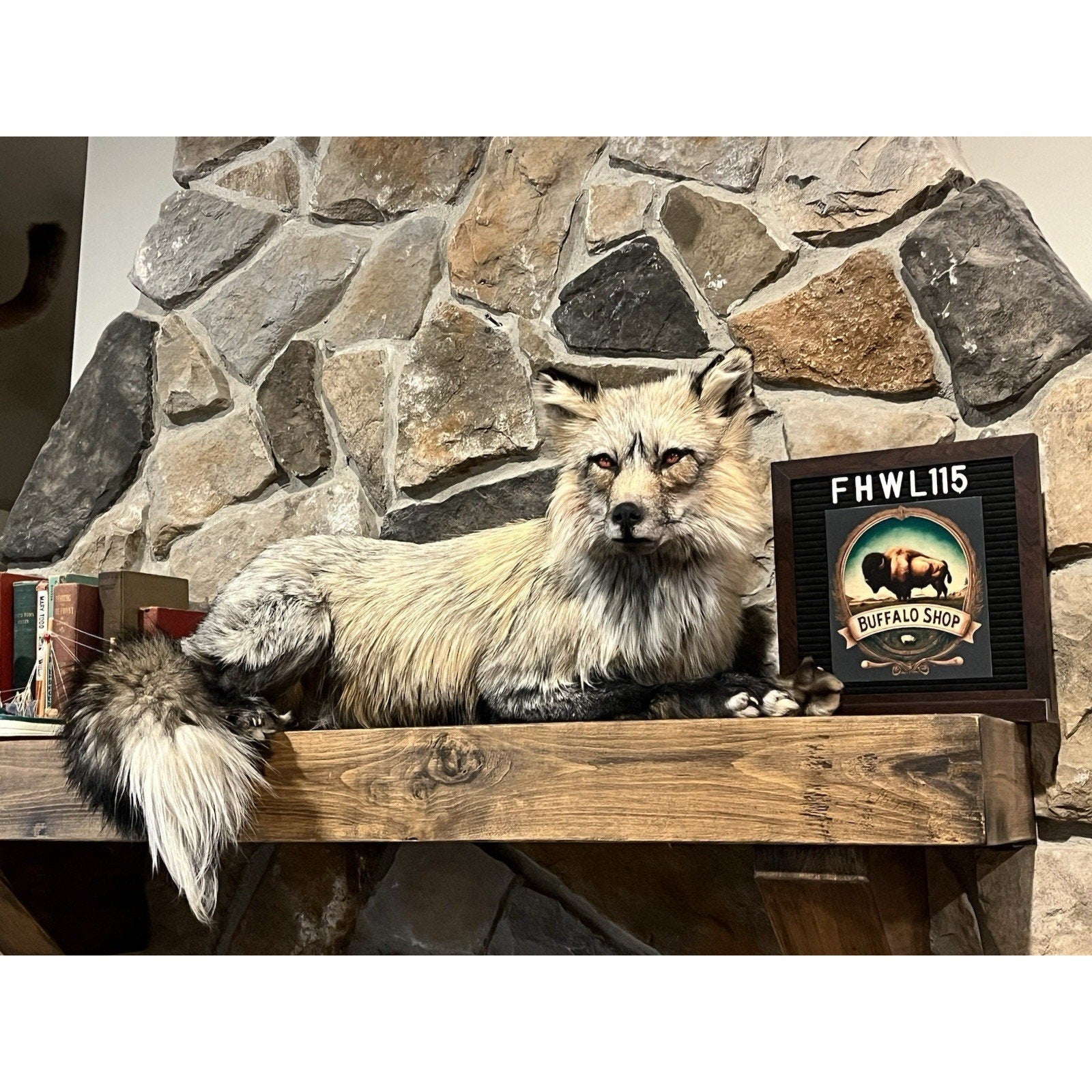 FHWL115- Premium Fox Taxidermy Full Body Mount
