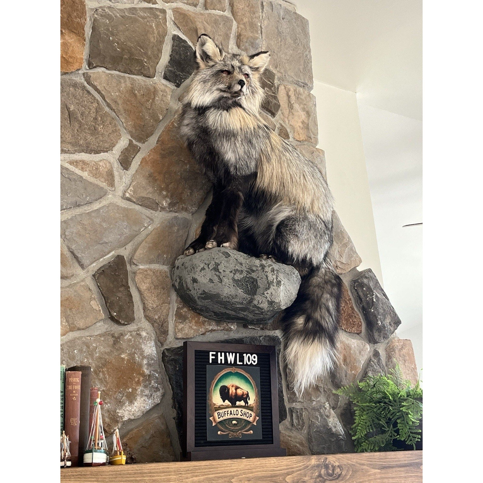 FHWL109 - Premium Fox Taxidermy Full Body Mount