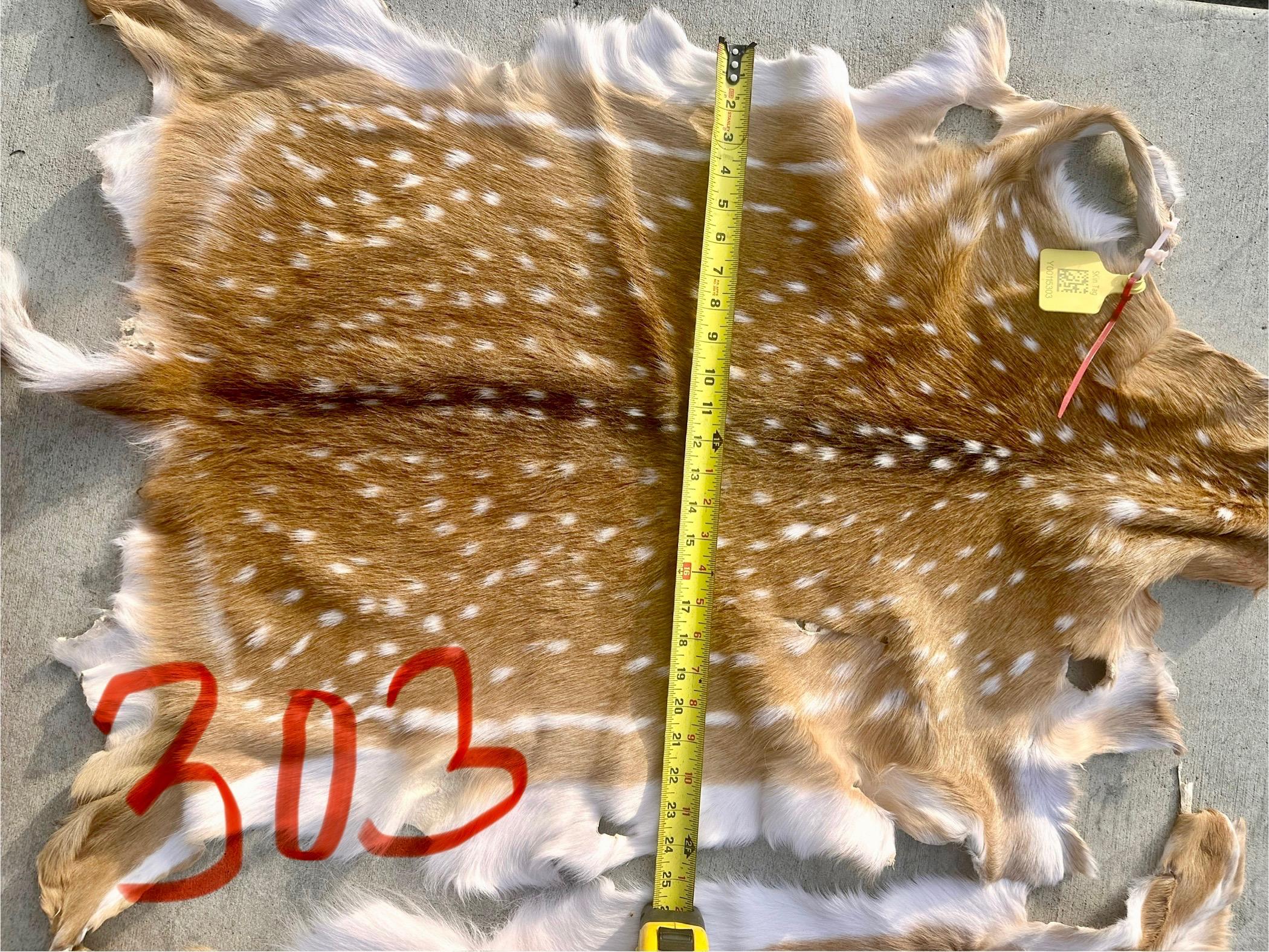 FHWA400 - Professionally tanned XL axis deer hide