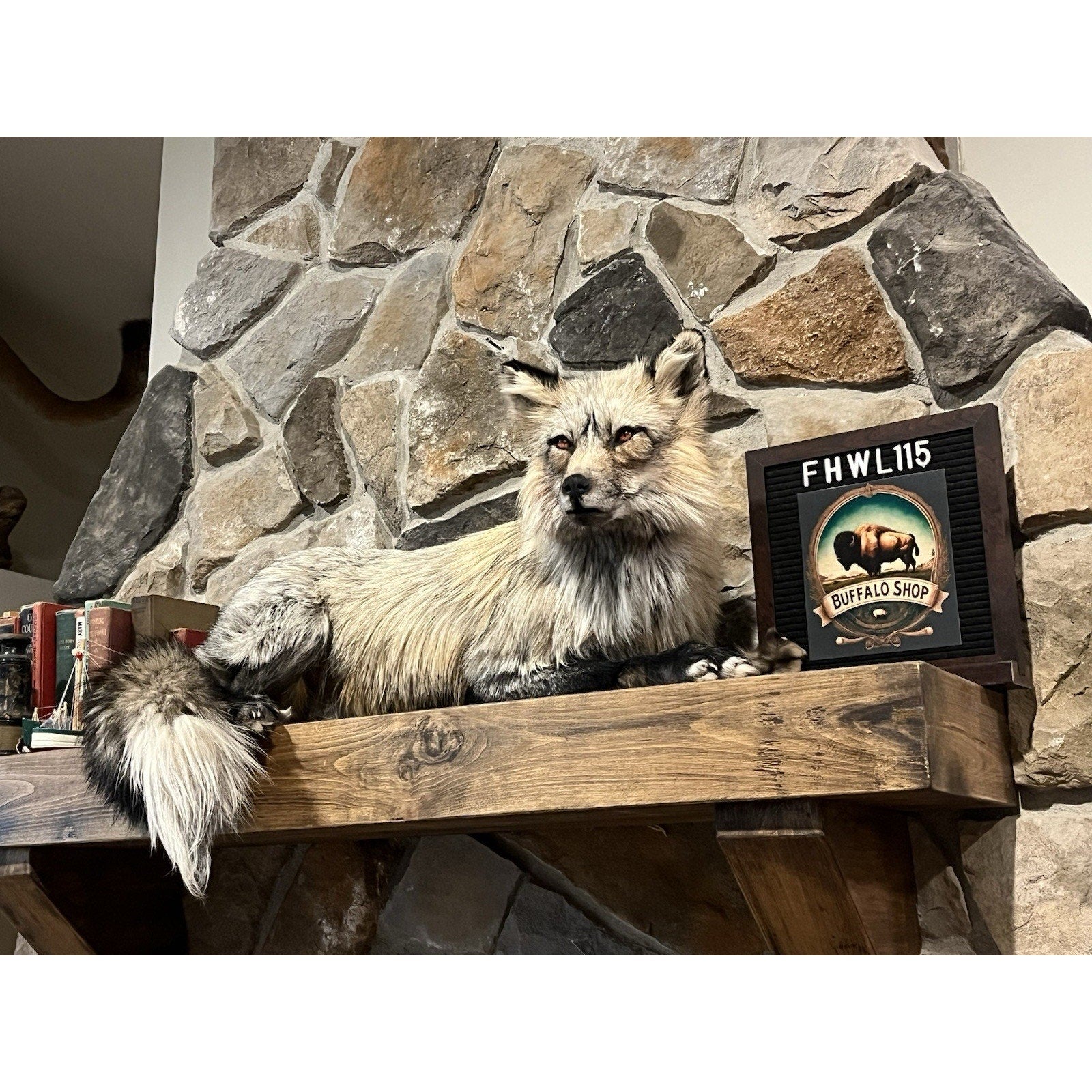 FHWL115- Premium Fox Taxidermy Full Body Mount