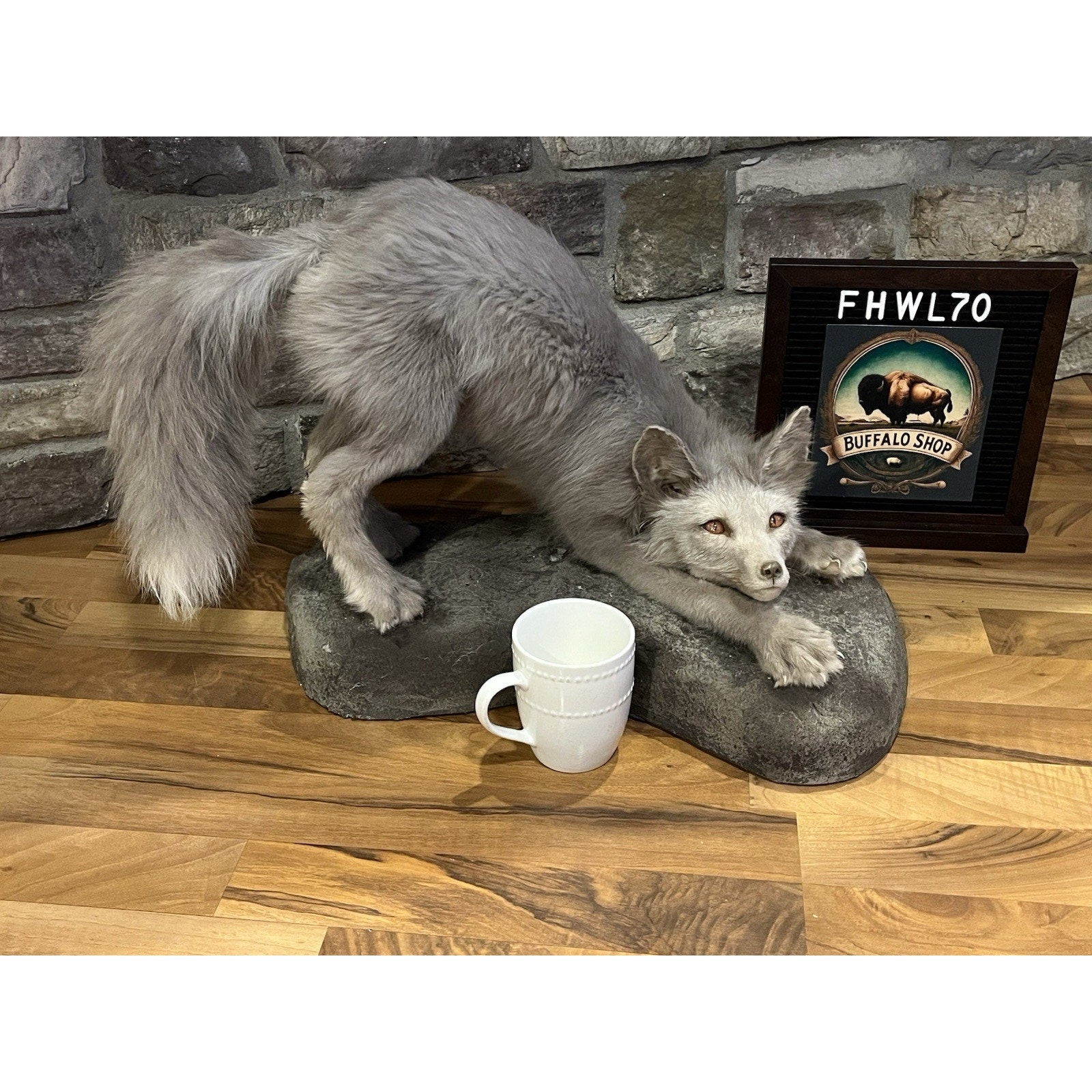 FHWL70 - Ranch Fox Pup Taxidermy Full Body Mount