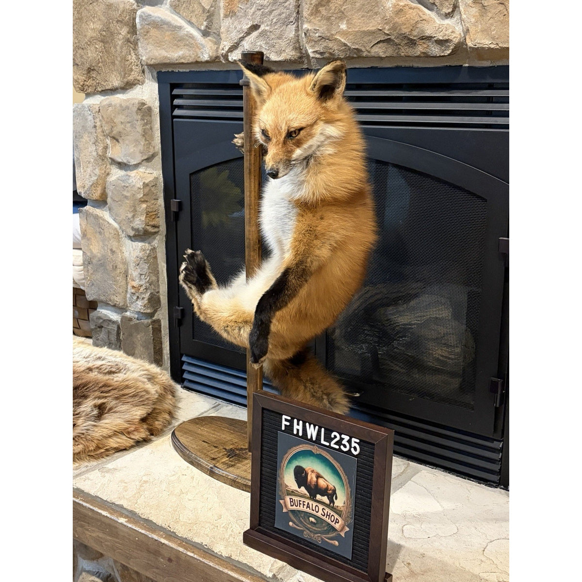 FHWL235 - Red Fox Taxidermy Stripper Dancing Full Body Mount