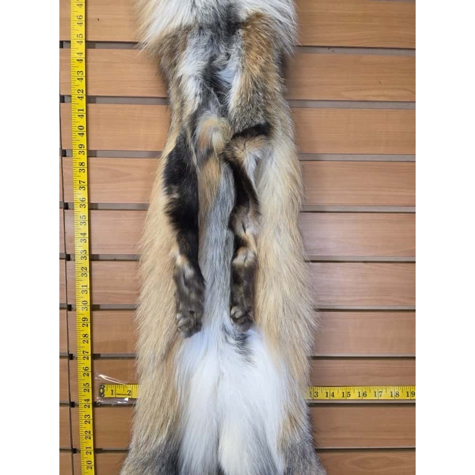FHCM19 - Gorgeous Ranch Fox Soft Tanned Fur