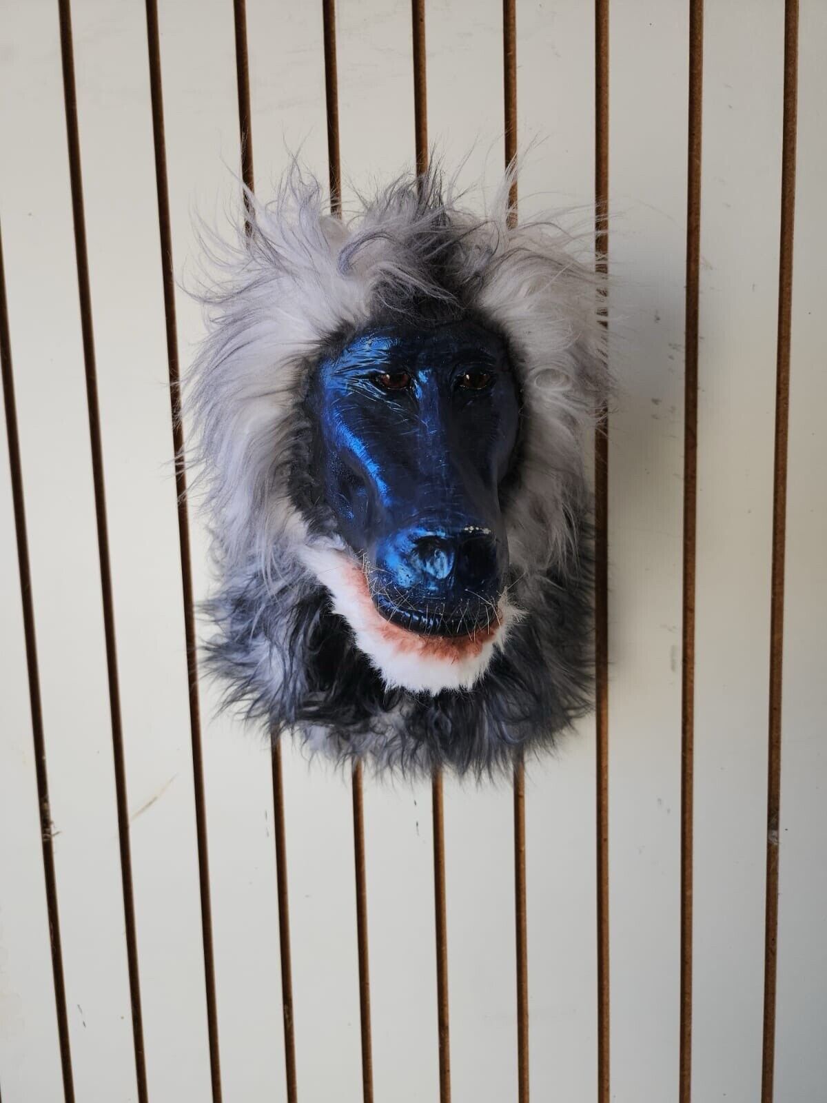 Reproduction Drill Baboon Shoulder Mount Taxidermy