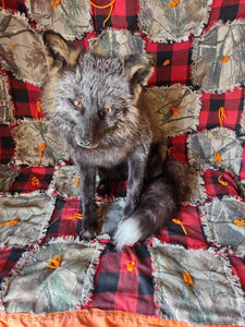 Stunning Real Cross FOX Mount Taxidermy Brand New