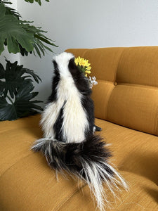 Large Prime Skunk Taxidermy Mount