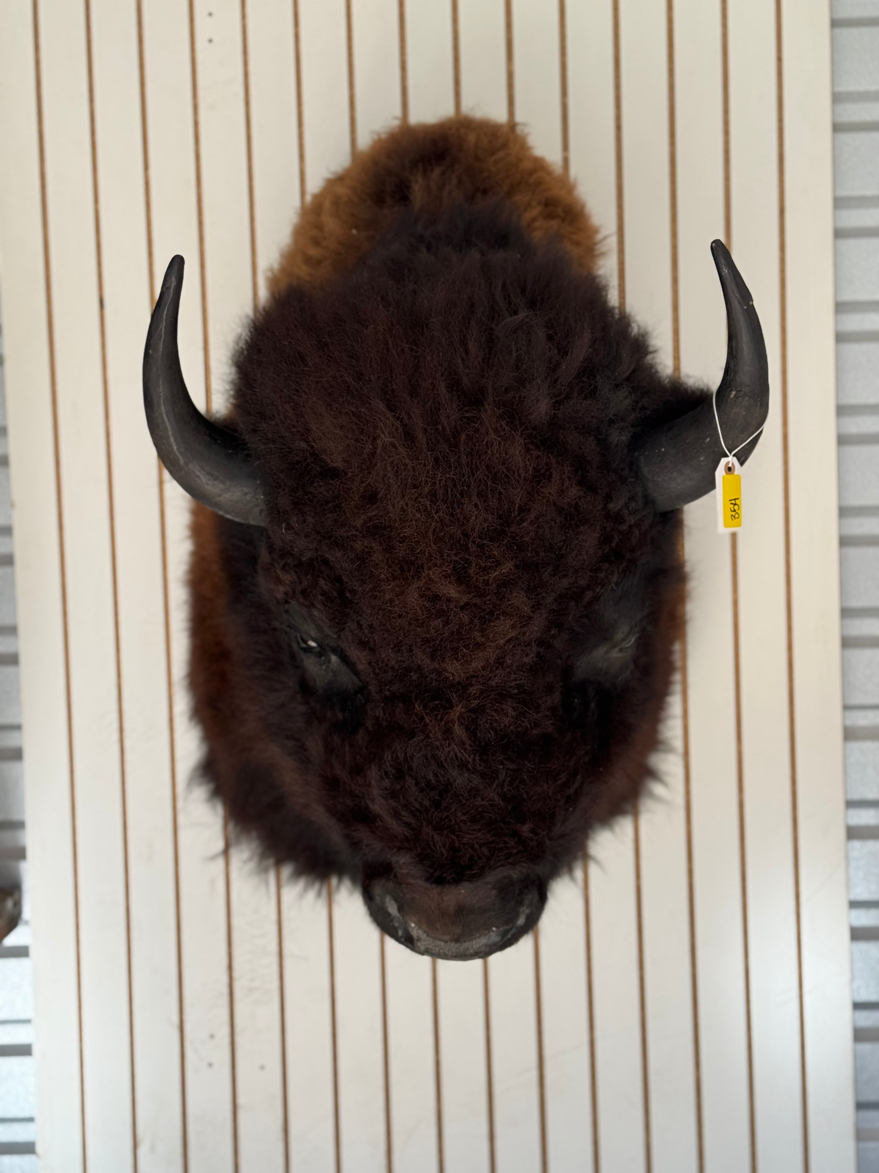 FHDAR354-massive Buffalo Taxidermy Shoulder mount Bull