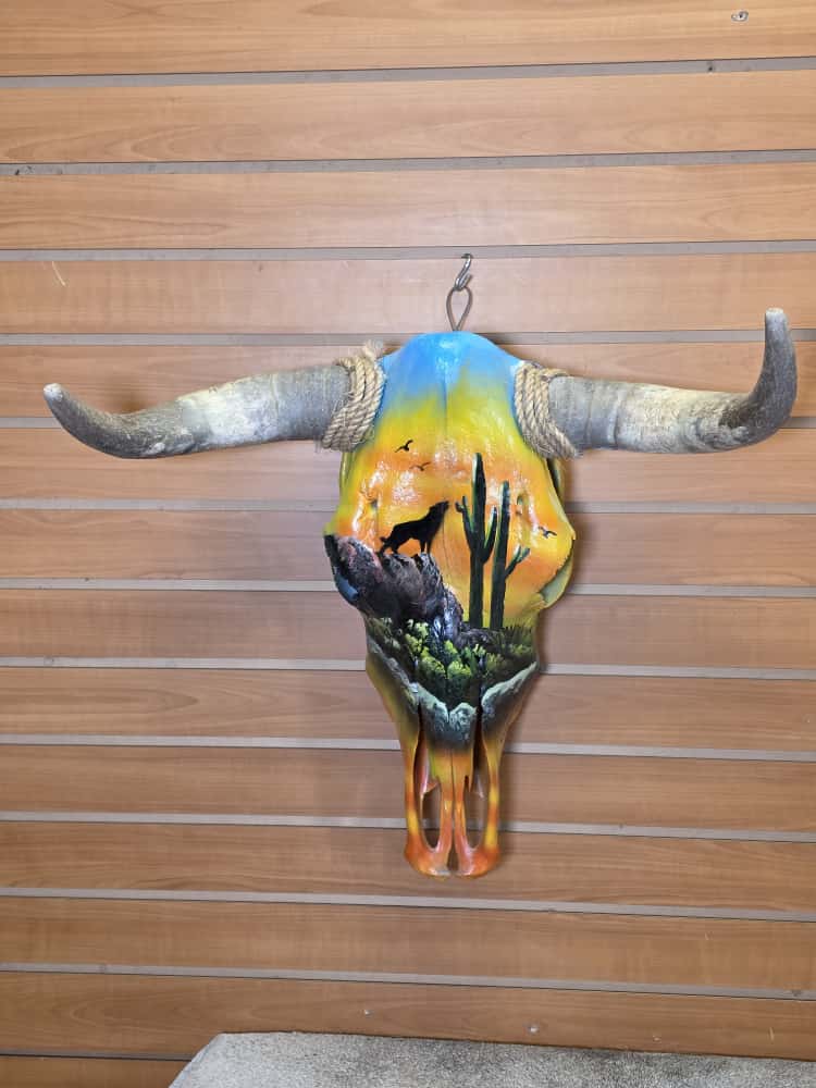 JTV265 - painted steer real horns taxidermy skull