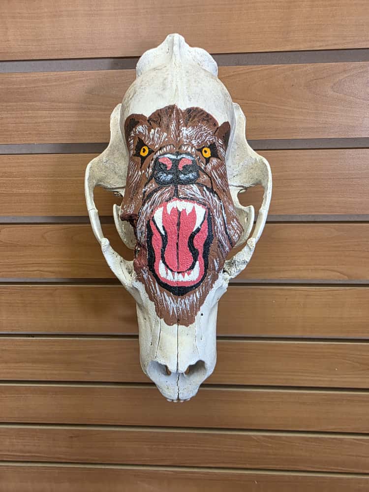 JTV261 - painted black bear skull
