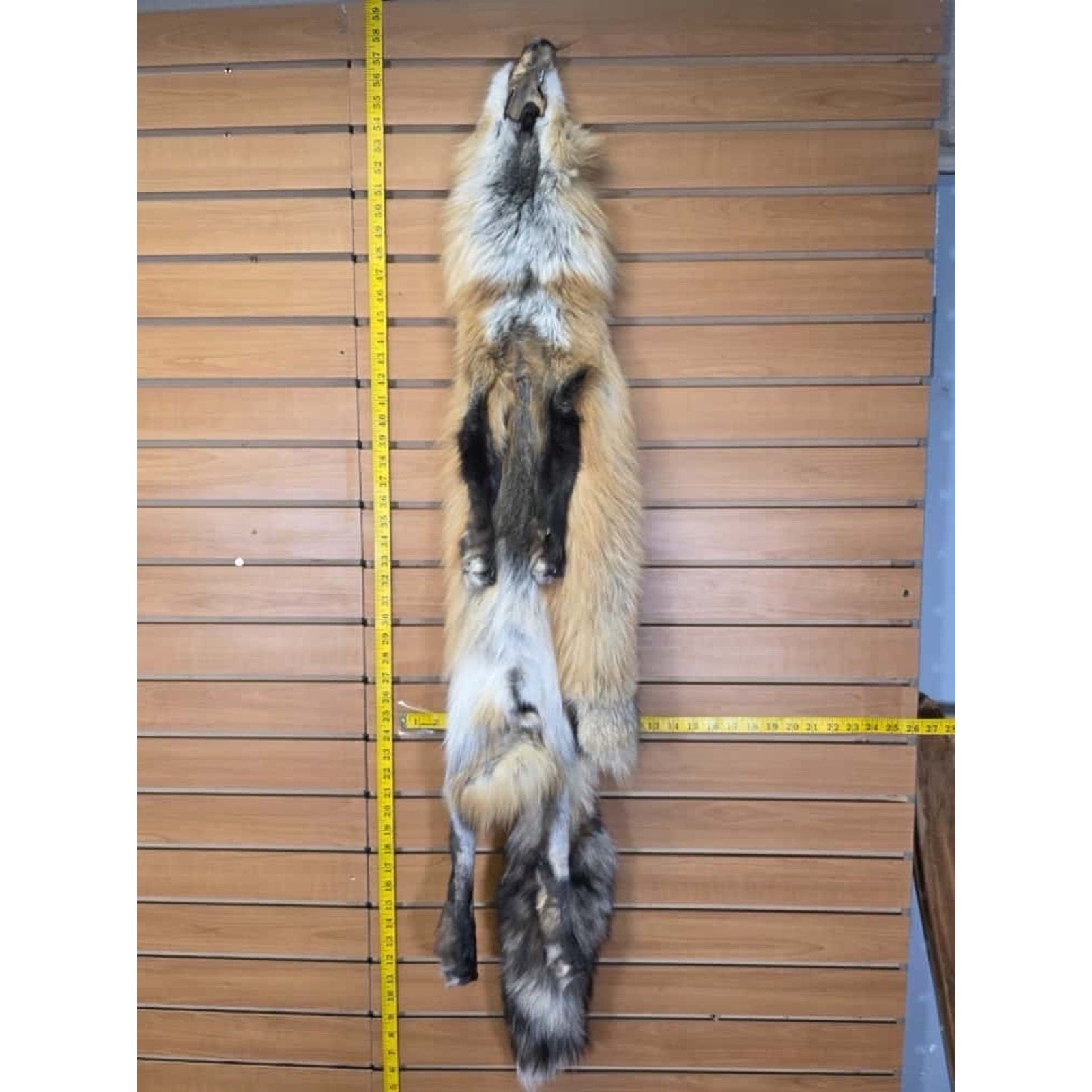 FHCM18 - Gorgeous Ranch Fox Soft Tanned Fur