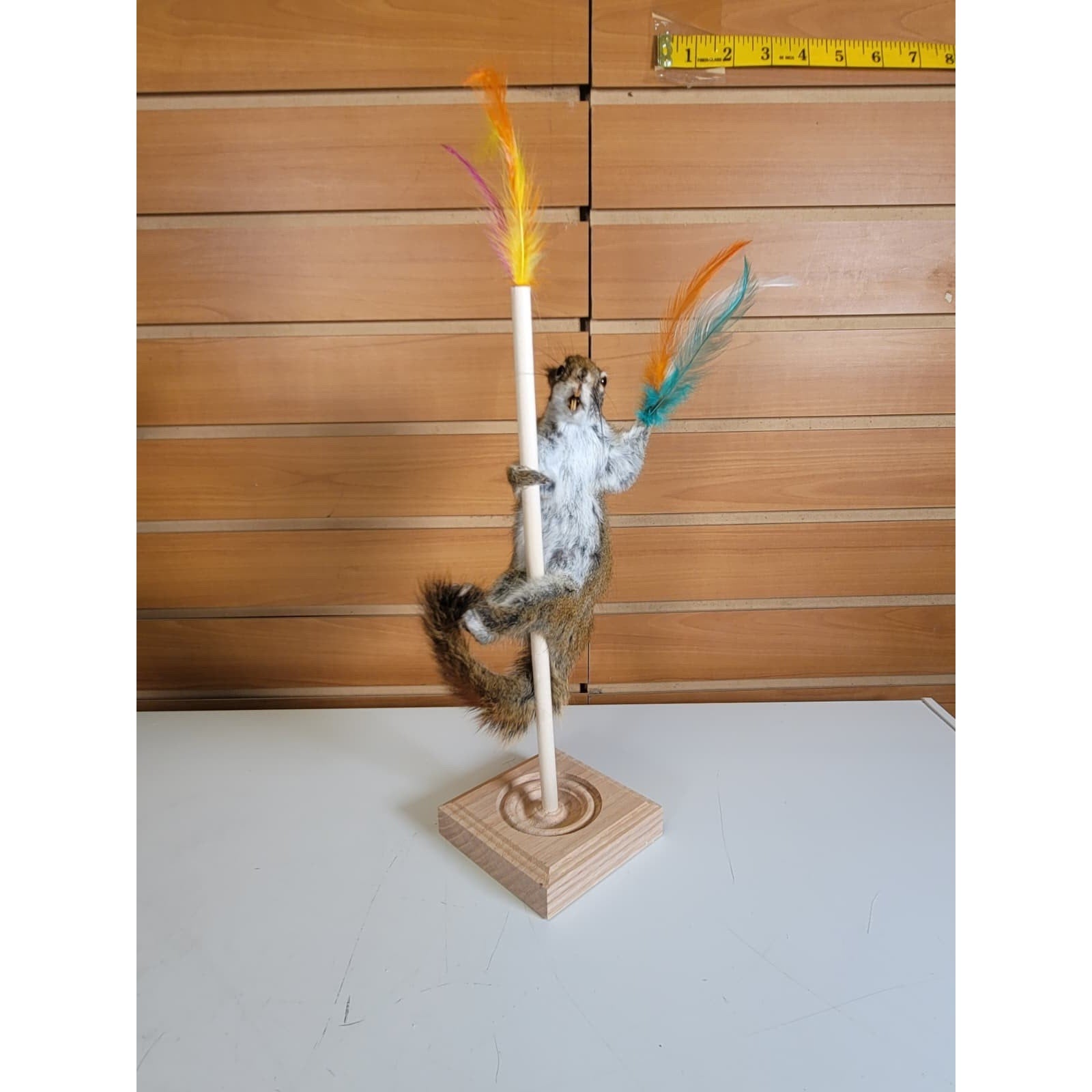 FHSQ309 - Stripping American Red Squirrel Taxidermy Mount