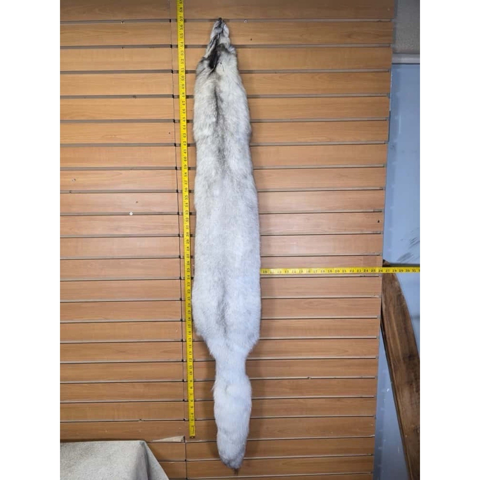 FHCM7- Blue Ranch Fox Soft Tanned Furs Taxidermy