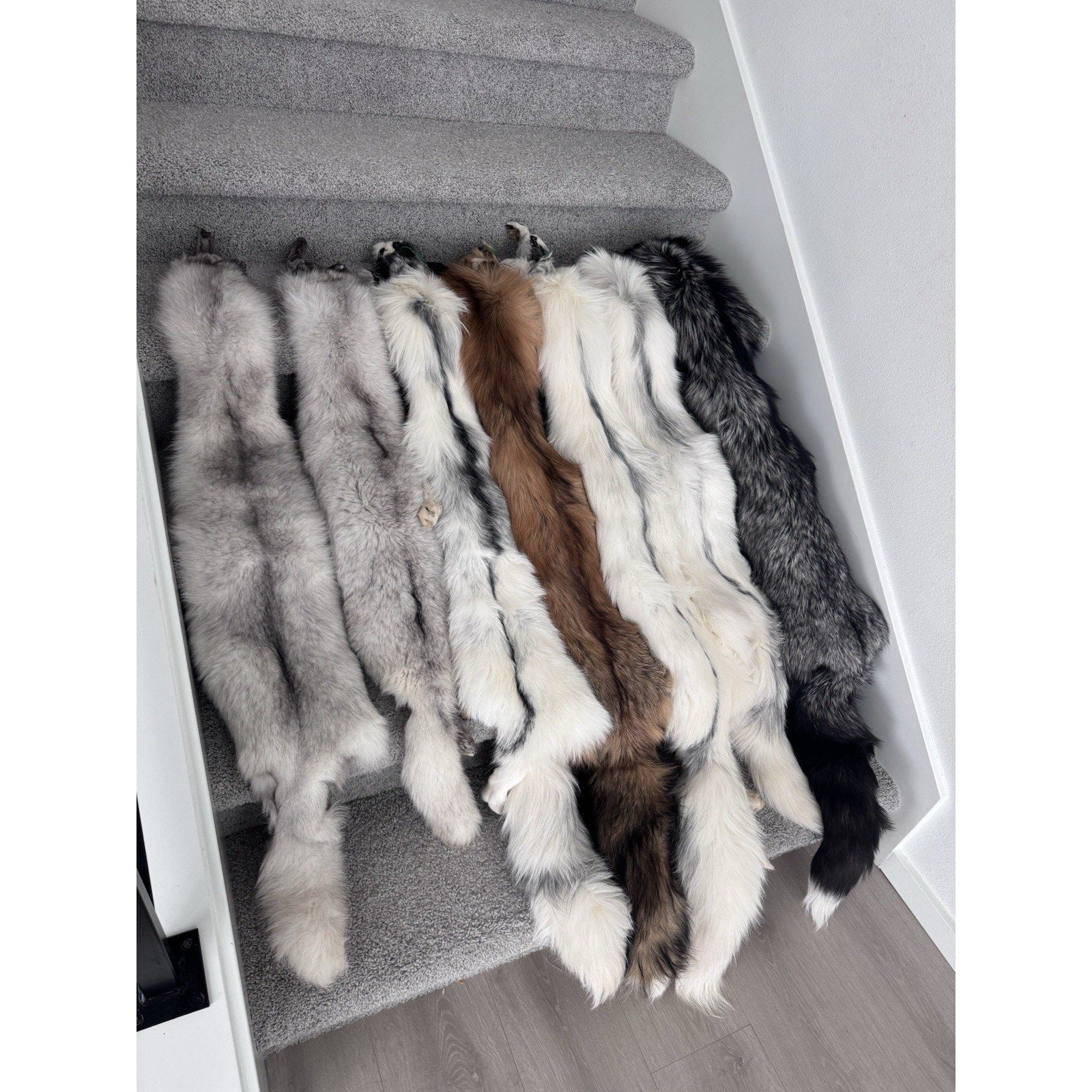 FHJAY793 - Mountable Premium Fox Full Body Hide For Taxidermy