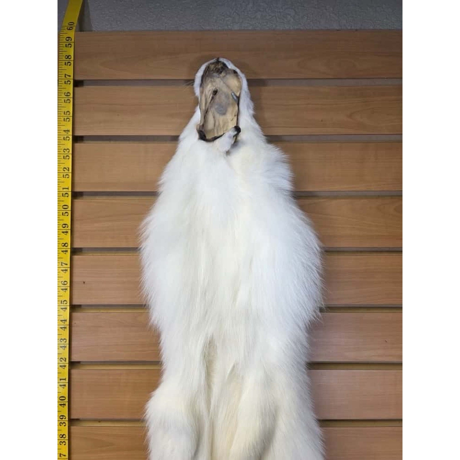 FHCM16 - Gorgeous White Ranch Fox Soft Tanned Fur