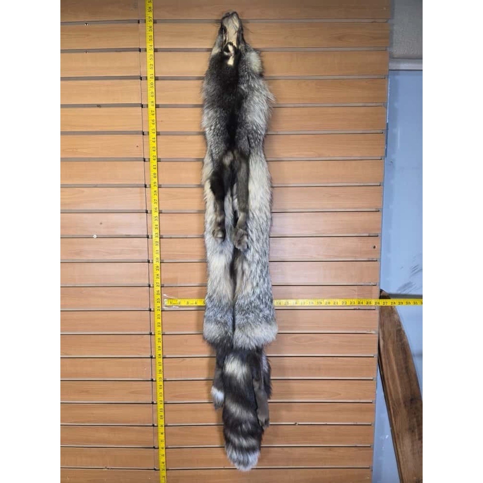 FHCM15 - Gorgeous Ranch Fox Soft Tanned Furs Taxidermy