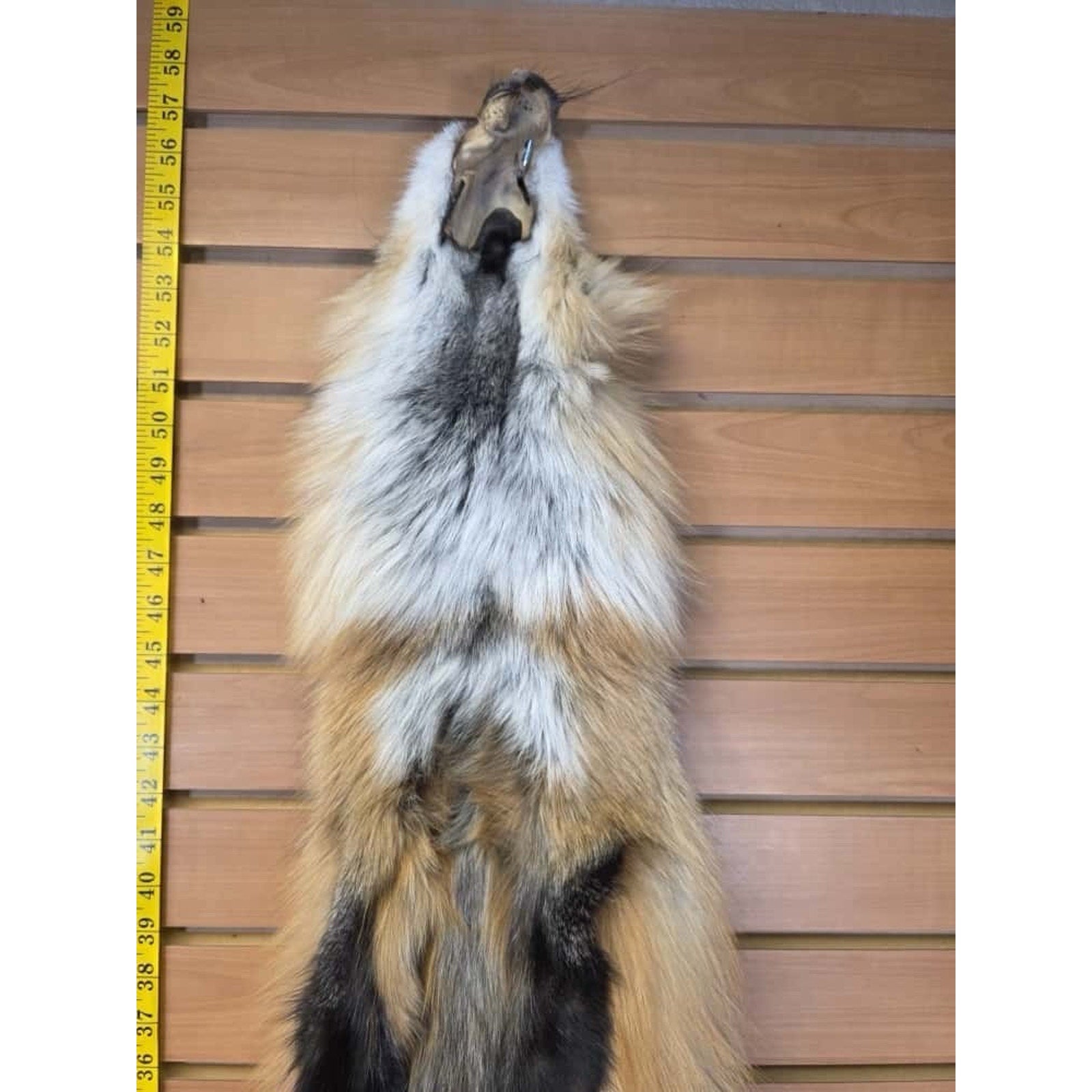 FHCM18 - Gorgeous Ranch Fox Soft Tanned Fur