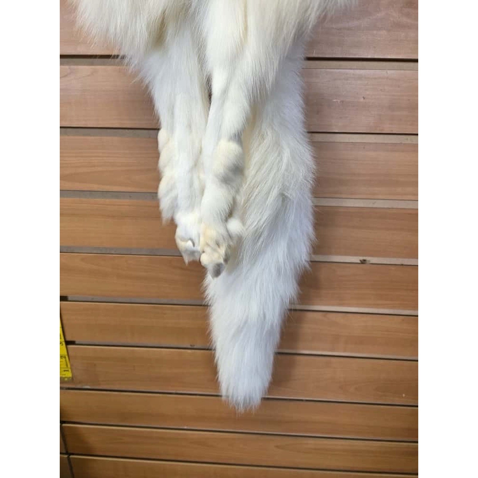 FHCM16 - Gorgeous White Ranch Fox Soft Tanned Fur